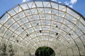 láminas alveolares 10