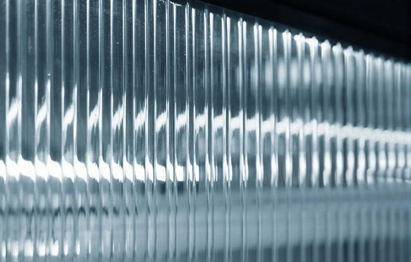 láminas alveolares 4