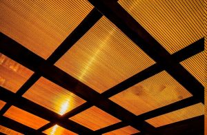 láminas alveolares 5