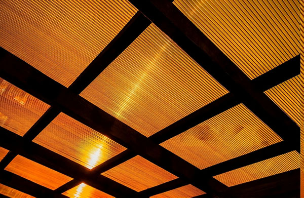 láminas alveolares 5