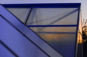 láminas alveolares 6