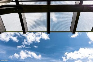 láminas alveolares 7