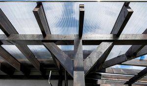 láminas alveolares 8