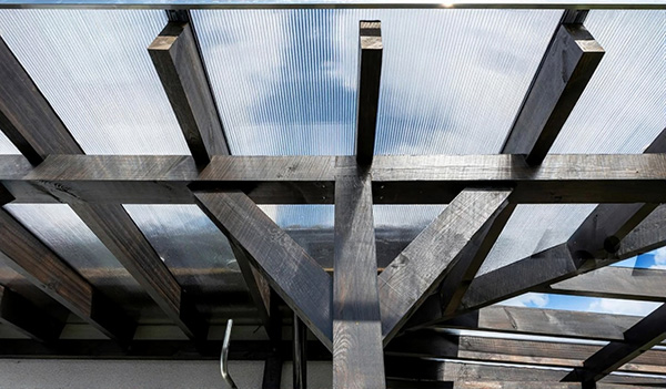 láminas alveolares 8