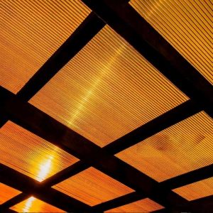 láminas especializadas 3