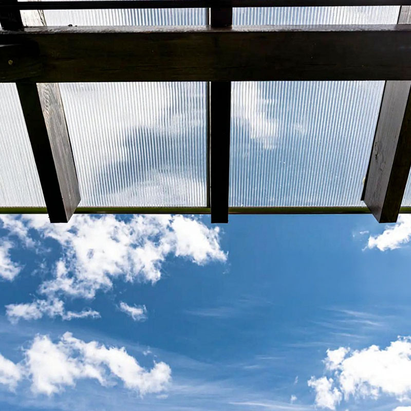 láminas especializadas 4